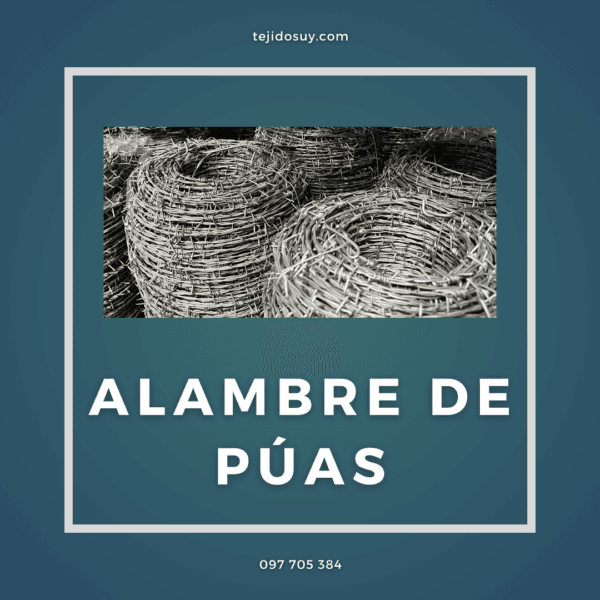 Alambre de puas